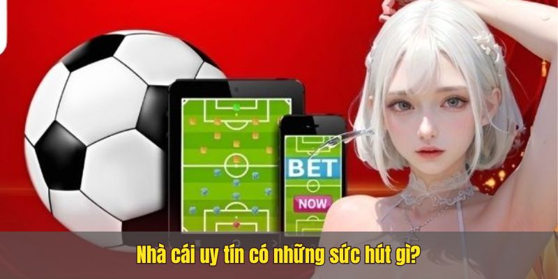 Trang nhà cái uy tín Nhacai24h1.net, bet thủ không nên bỏ qua 8 Trang nhà cái uy tín Nhacai24h1.net, bet thủ không nên bỏ qua